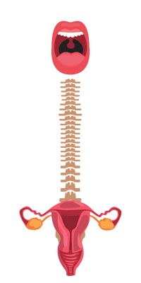 boca-columna-vagina