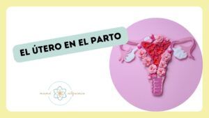 miniatura video del útero en el parto