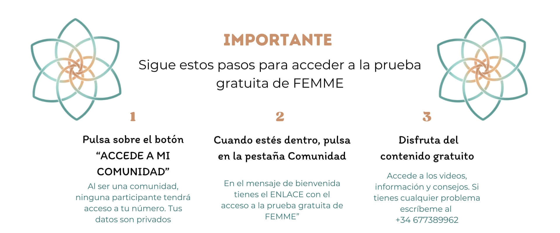 Acceso comunidad Whatsapp