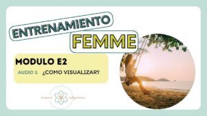 Modulo E2 explicación visualización creativa