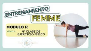 MINIATURA MODULO F VIDEO 6 CLASE 4