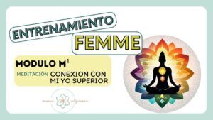MINIATURA meditación 4 CONEXION CON MI YO SUPERIOR
