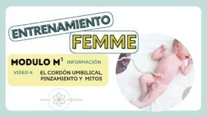 Modulo M1. EL cordón umbilical