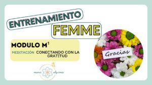 MINIATURA meditación 9 CONECTANDO CON LA GRATITUD